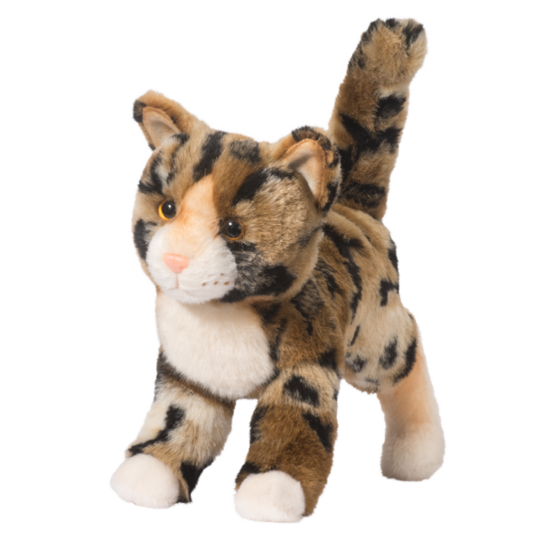 Taschette Bengal Cat