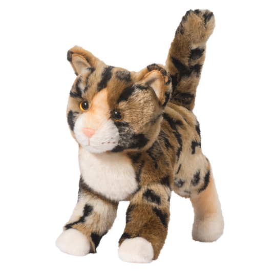 Taschette Bengal Cat
