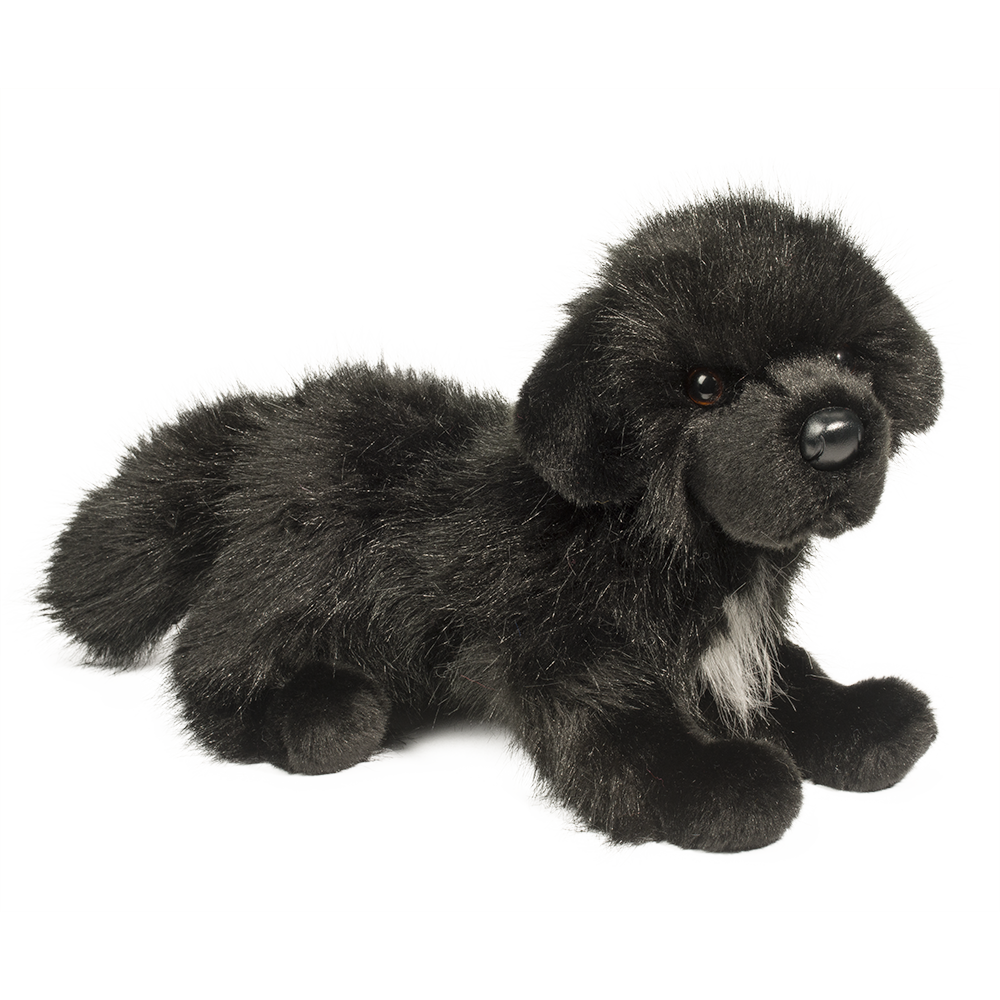 Bundy Newfoundland