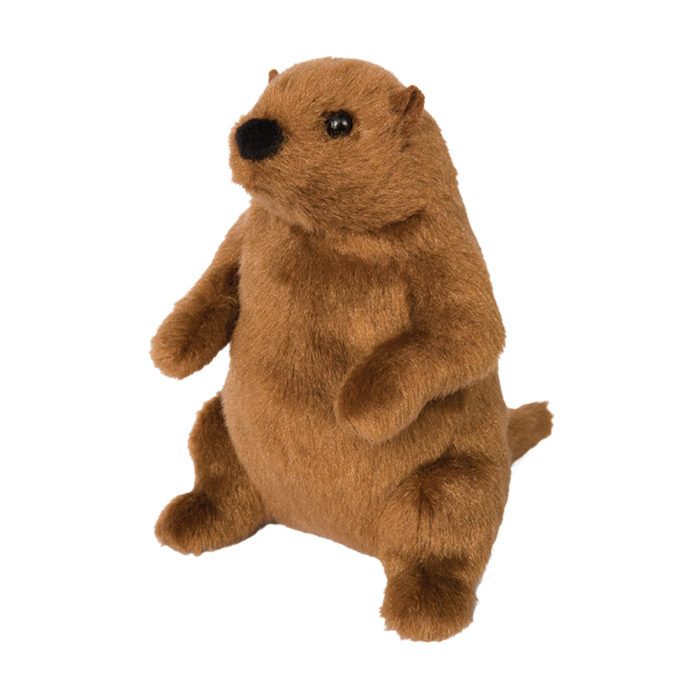 MR. G GROUNDHOG