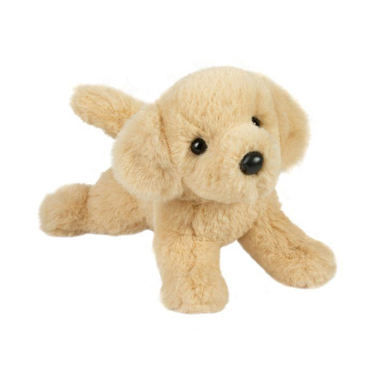 Eddie Soft Mini Lab
