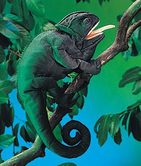 CHAMELEON