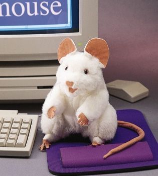 WHITE MOUSE