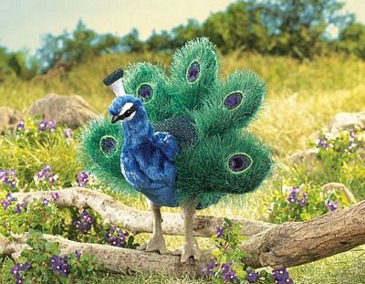 SMALL PEACOCK