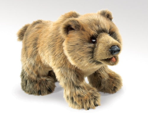 Grizzly Bear