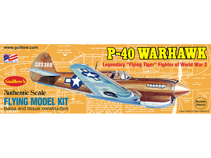 CURTISS P-40 WARHAWK