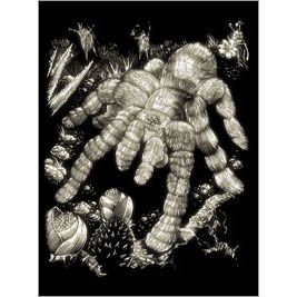 GLOW IN THE DARK TARANTULA