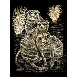 GOLD FOIL MEER CATS