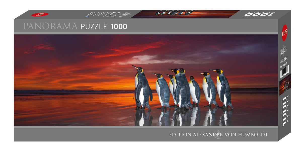 King Penguins Panorama 1000pc