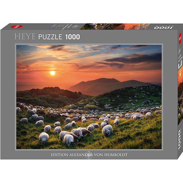 Sheep and Volcanoes 1000pc
