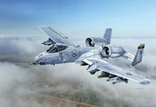 A-10C "Blacksnakes" 1/48