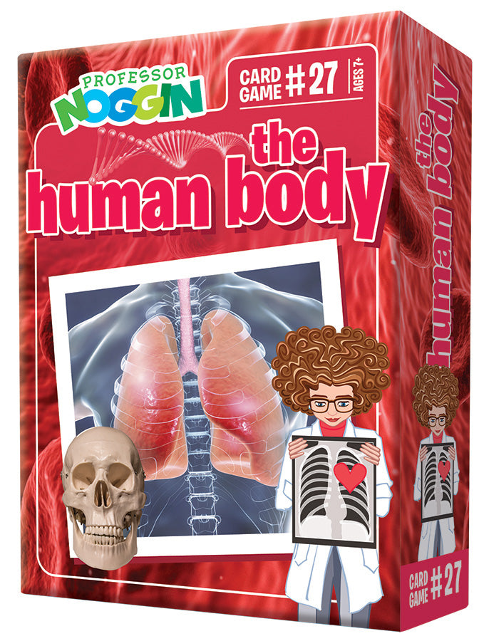 Professor Noggin The Human Body