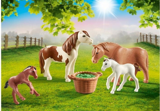 Ponies with Foal