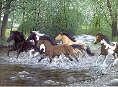 FREE SPIRITS