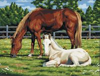 HORSES IN A FIELD CANVAS SERIES