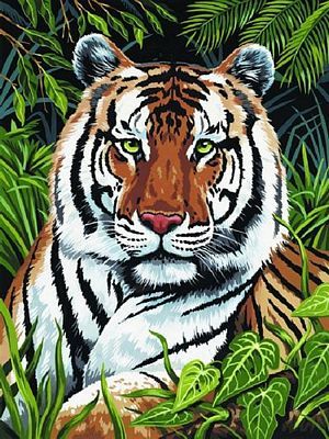 TIGER IN HIDING ARTIST CANVAS SERIES