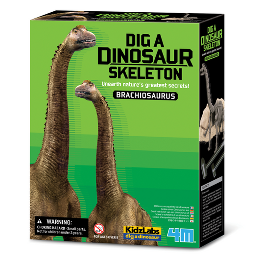 DIG A BRACHIOSAURUS