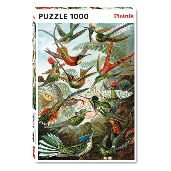 Haeckel Hummingbirds 1000pc