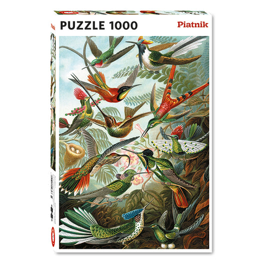 Haeckel Hummingbirds 1000pc