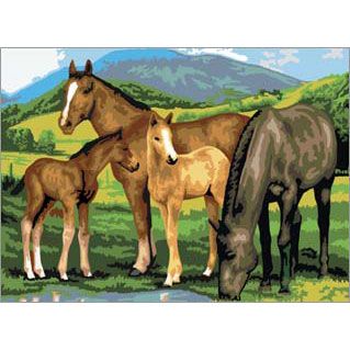 HORSES & FOALS