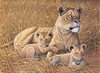 AFRICAN LIONESS & CUBS