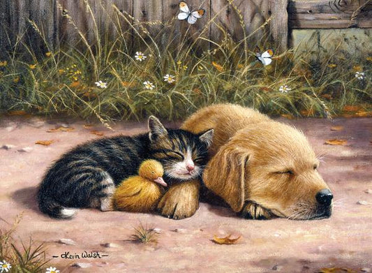 SLEEPY DAY