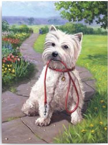 TIME FOR A WALK