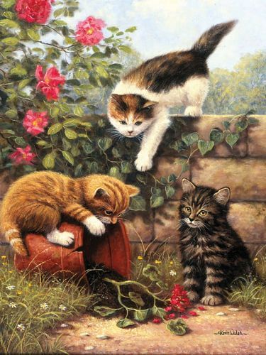 KITTENS AT PLAY