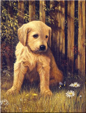 PUPPY BLUES