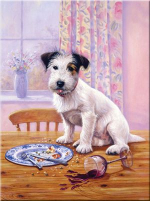HUNGRY HOUND