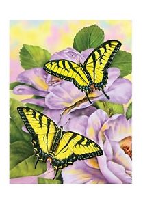 Swallowtail Butterflies