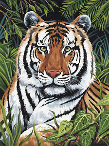 Tiger in Hiding