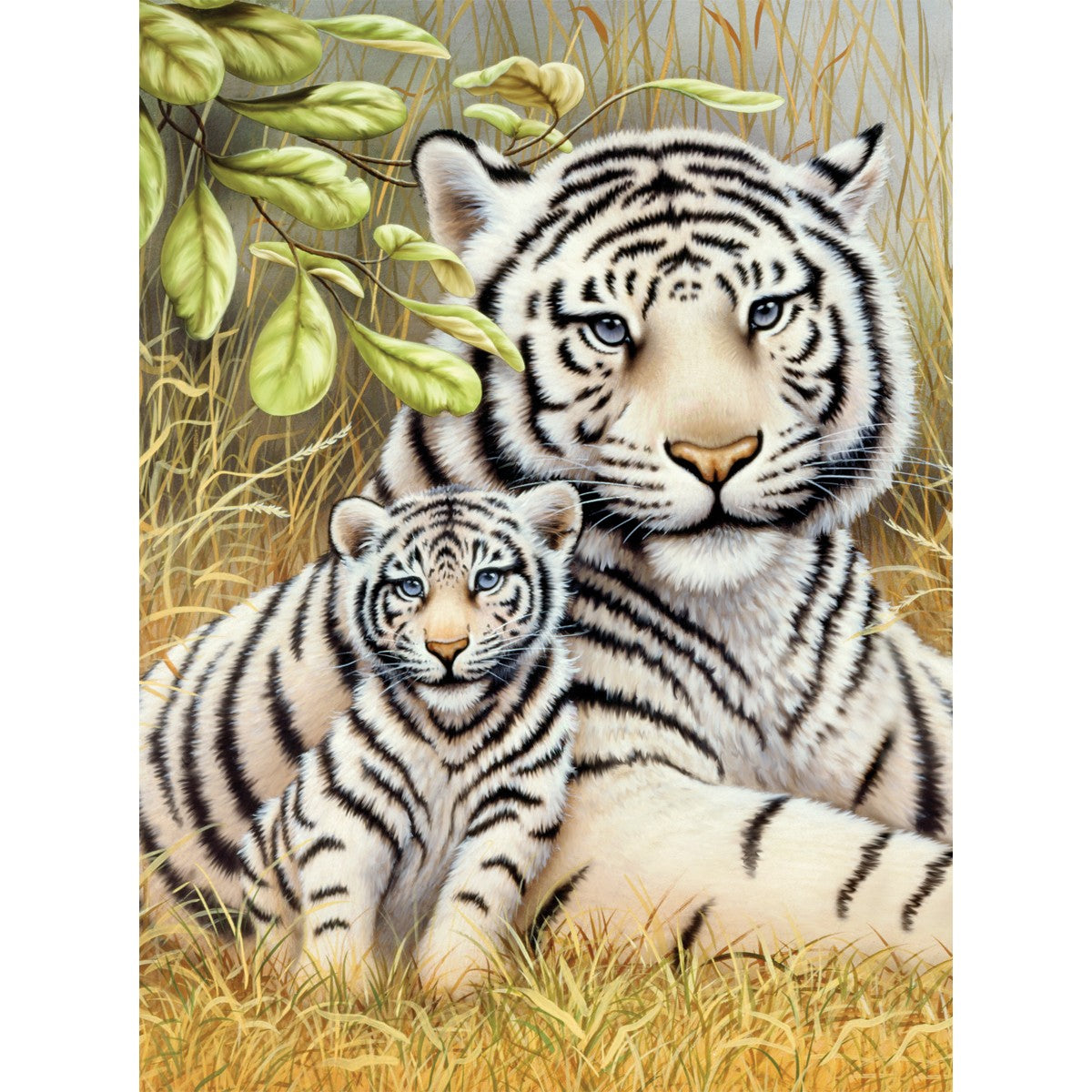 White Tiger Pair