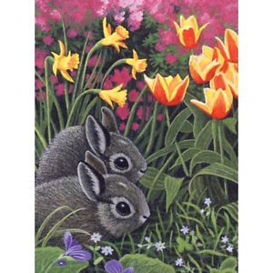 Spring Bunnies