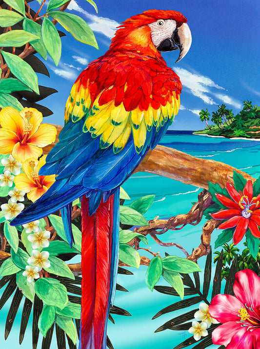 Scarlet Macaw