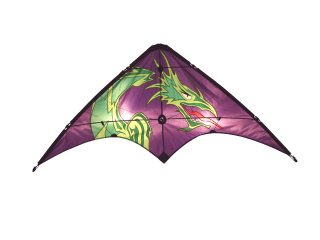 LEARN TO FLY DRAGON 48"