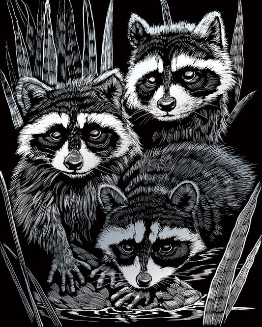 Silver Foil Raccoons