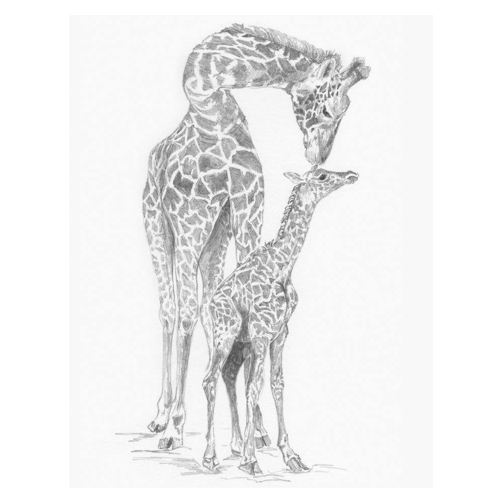 Sketching Made Easy Giraffe & Baby
