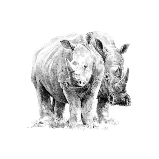Sketching Made Easy Rhino Pair