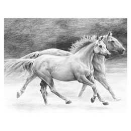 Sketching Made Easy Running Free