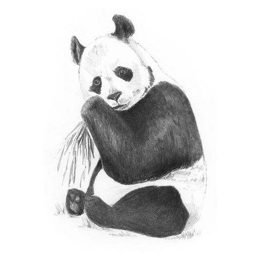 Mini Sketching Made Easy Panda