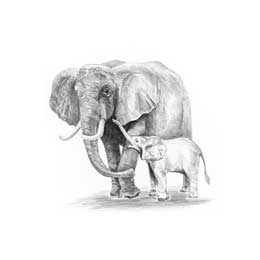 Mini Sketching Made Easy Elephant & Baby