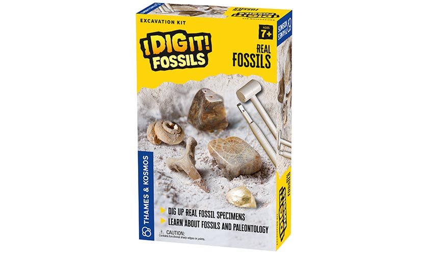 I Dig It! Real Fossils