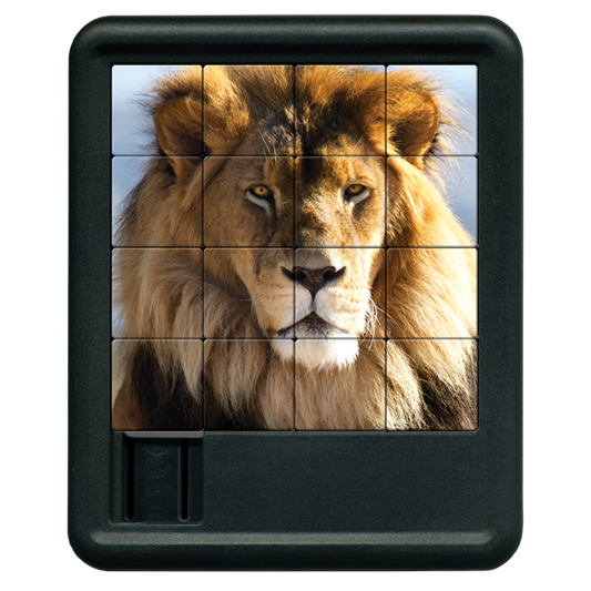 Lion Sliding Tiles