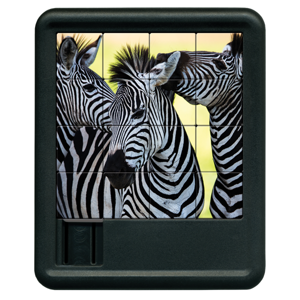 Zebra Sliding Tiles