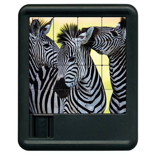 Zebra Sliding Tiles
