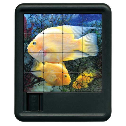 Parrot Fish Sliding Tiles