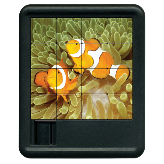 Clown Fish Sliding Tiles