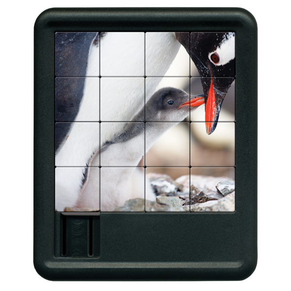 Penguins Sliding Tiles