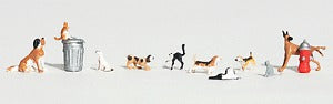 Dogs & Cats